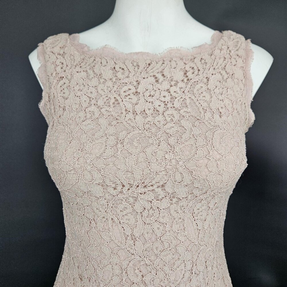 Adrianna Papell Dress Formal Gown 2 Pink Champagne Lace Sleeveless Sheath Maxi - Picture 2 of 16